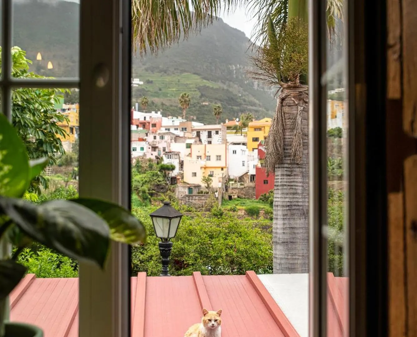 Tulia Guesthouse & Coworking Los Realejos Apartamento